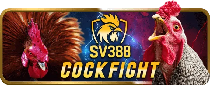 Dấu hiệu nhận biết vấn đề cờ bạc tại saobet win